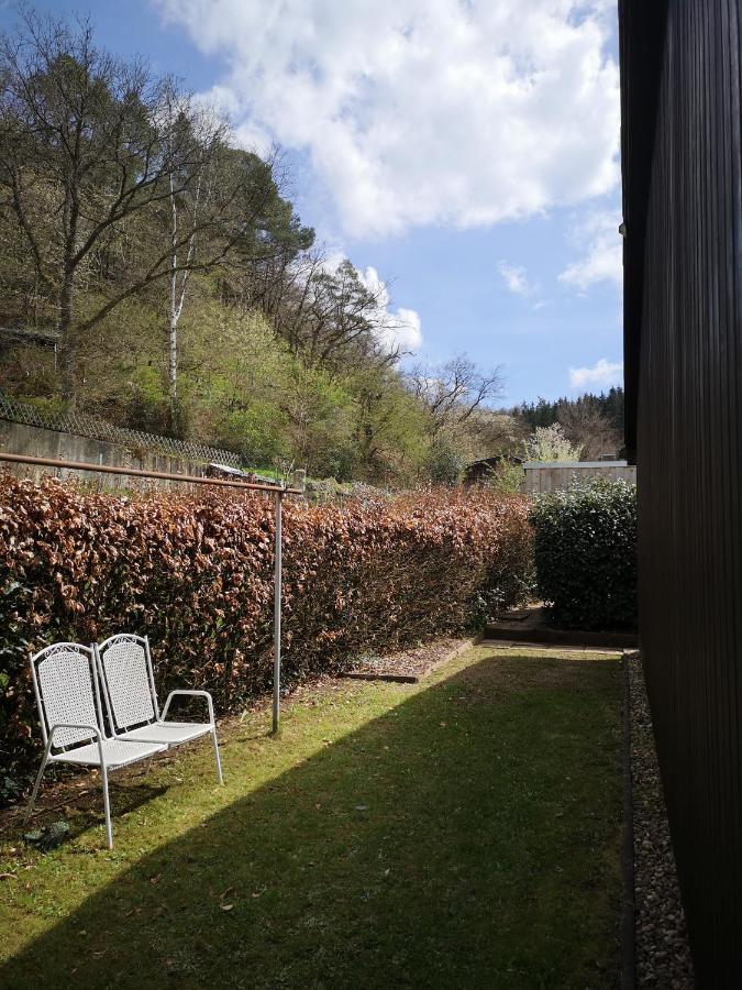 In Waldrandlage In Nationalpark / Eifel Schleiden