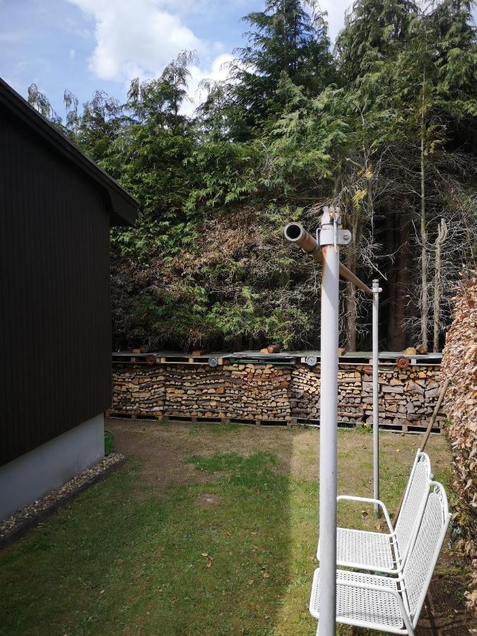 In Waldrandlage In Nationalpark / Eifel *