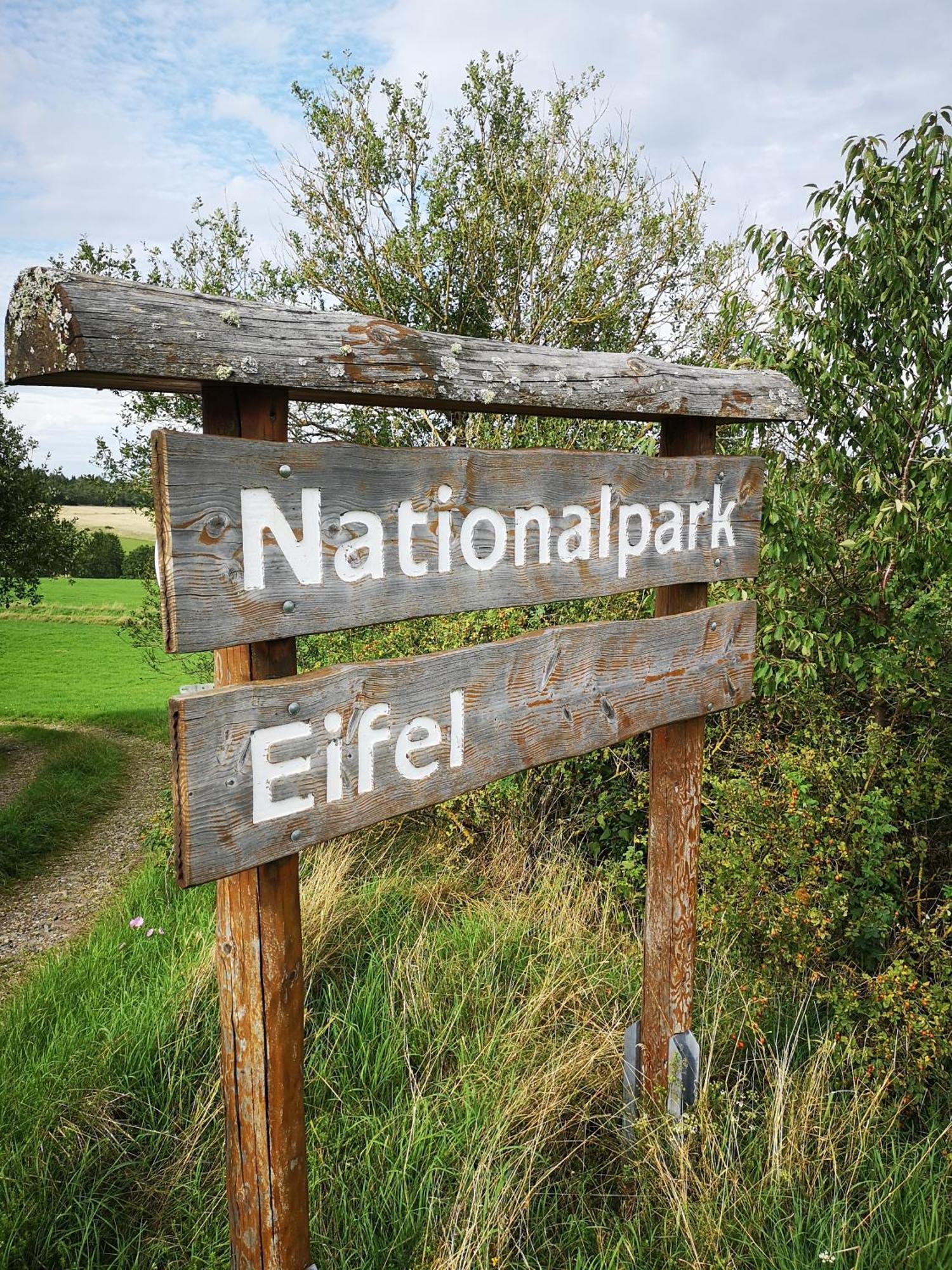 In Waldrandlage In Nationalpark / Eifel Holiday home *