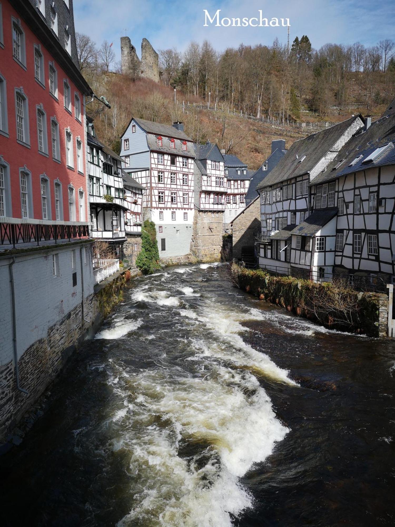 In Waldrandlage In Nationalpark / Eifel *