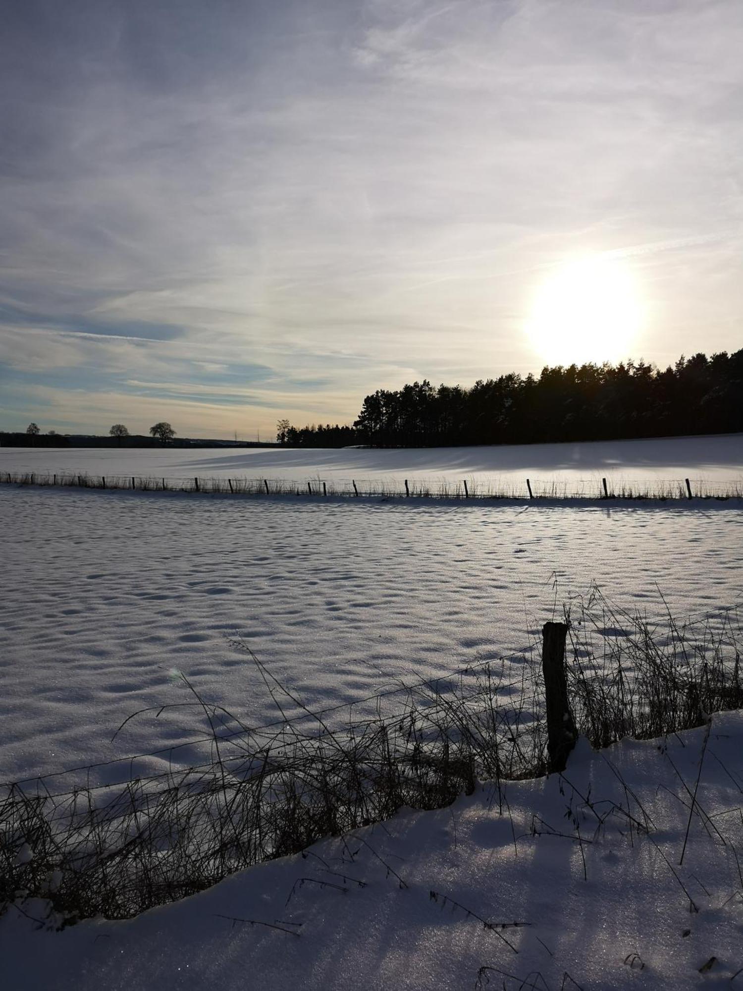 Holiday home In Waldrandlage In Nationalpark / Eifel Schleiden
