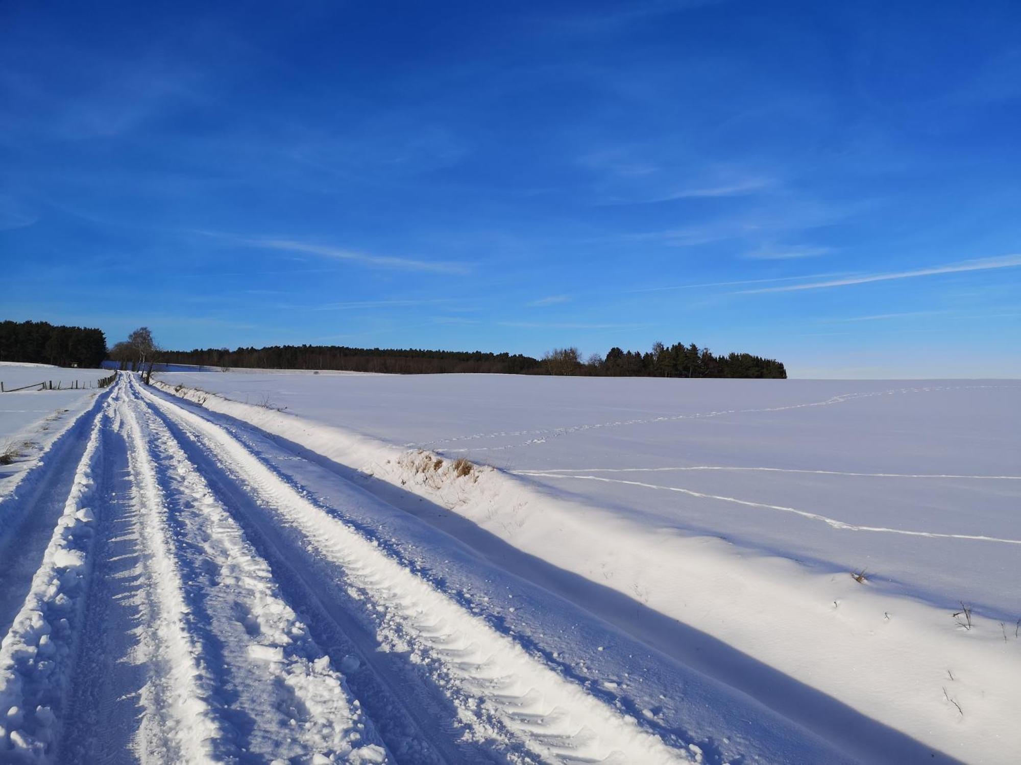 In Waldrandlage In Nationalpark / Eifel *