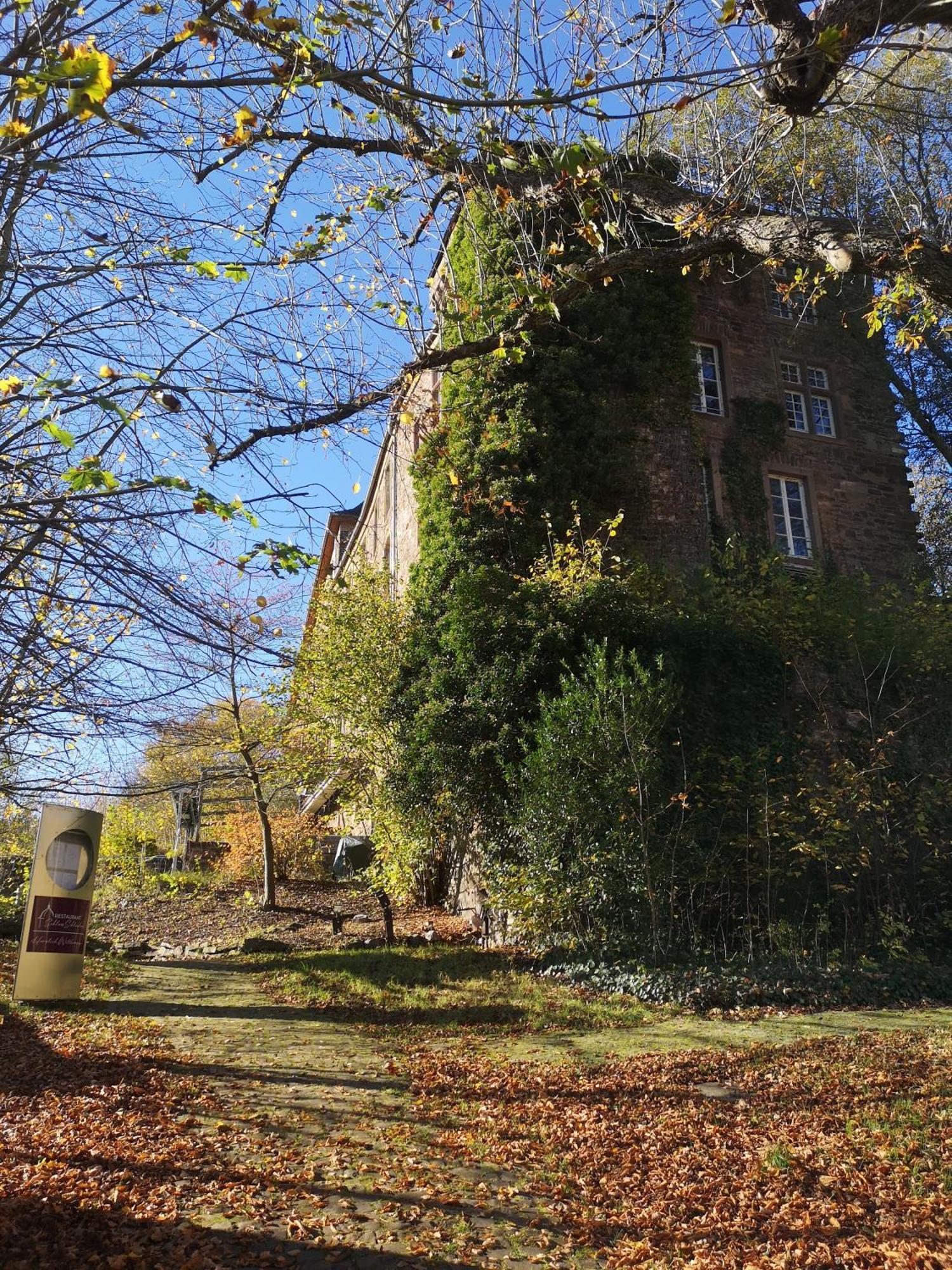 Holiday home In Waldrandlage In Nationalpark / Eifel Schleiden