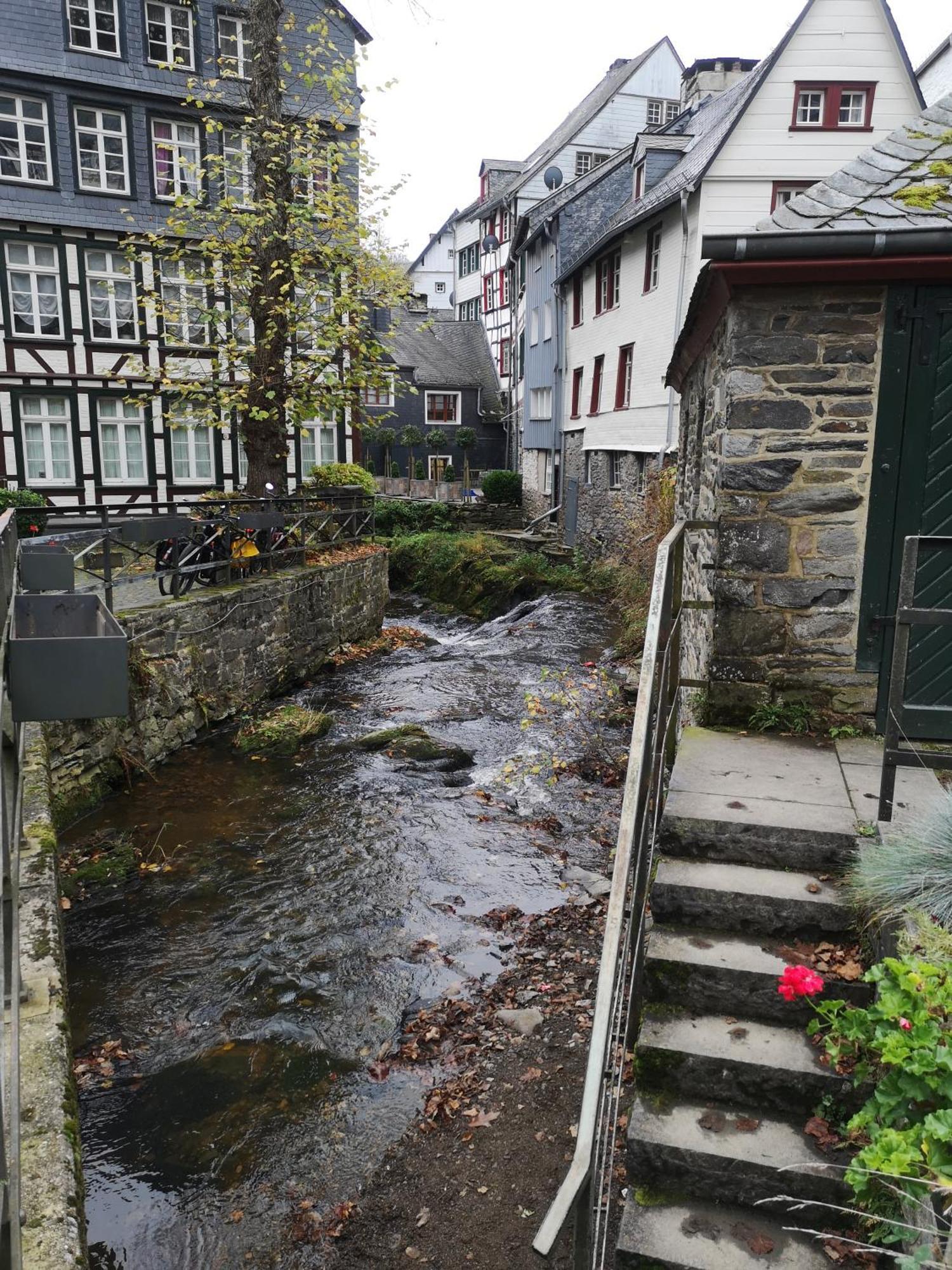 In Waldrandlage In Nationalpark / Eifel * Schleiden