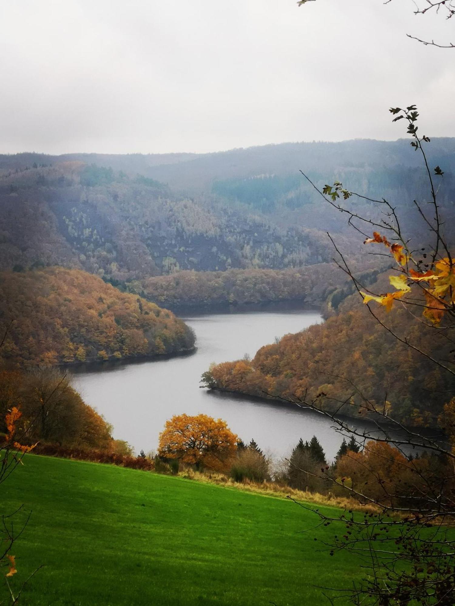 Holiday home In Waldrandlage In Nationalpark / Eifel *