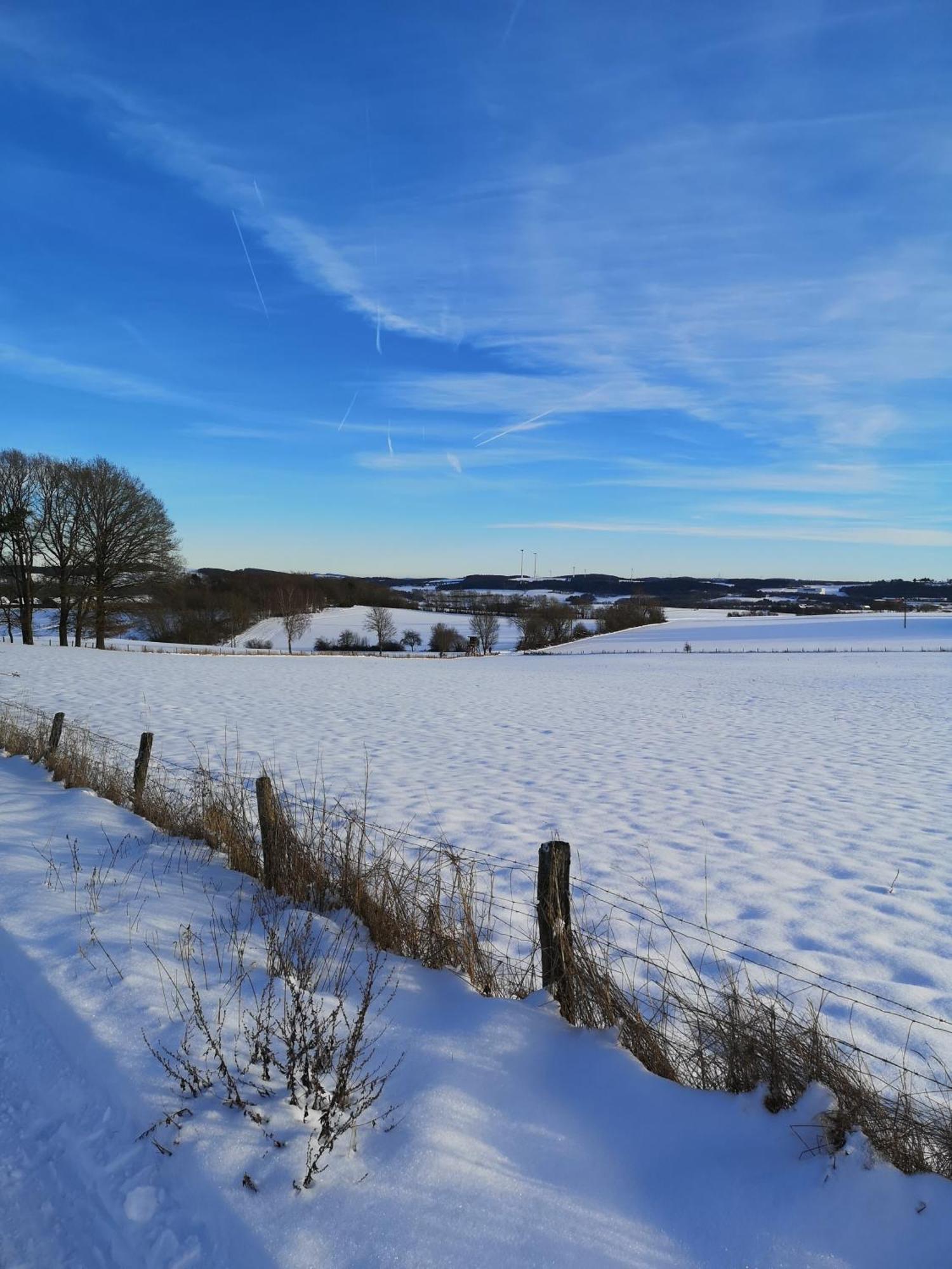 In Waldrandlage In Nationalpark / Eifel * Schleiden